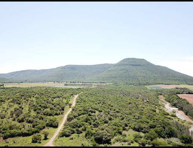 56HA FARM FOR SALE IN WEENEN
